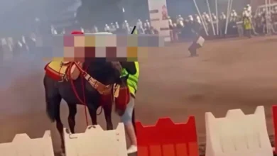 مصرع-فارس-شاب-خلال-عرض-لـ”التبوريدة”