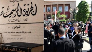 هل-يستأنف-المحامون-العمل-بعد-صدور-قانون-المهنة-؟.-عضو-بجمعية-المحامين-الشباب-بالناظور-يوضح
