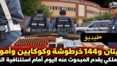 بعد-حجز-بندقيتي-صيد-وذخيرة-ومخدرات.-توقيف-مبحوث-عنه-وتقديمه-أمام-قاضي-التحقيق-بالناظو