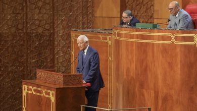 بيان-شديد-اللهجة.-“حقوق-الإنسان”-تهاجم-تصريحات-عرشان-وتشدد-على-حتمية-المساءلة
